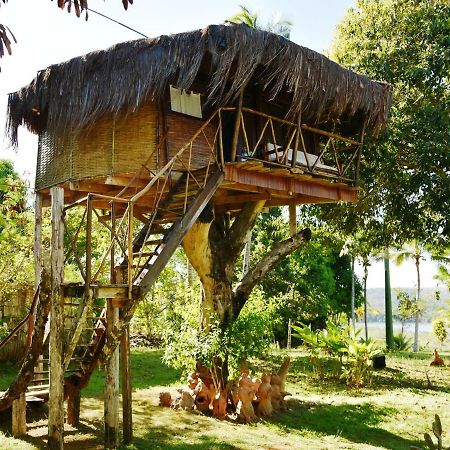 Art Jungle Hotel Itacaré Eksteriør billede