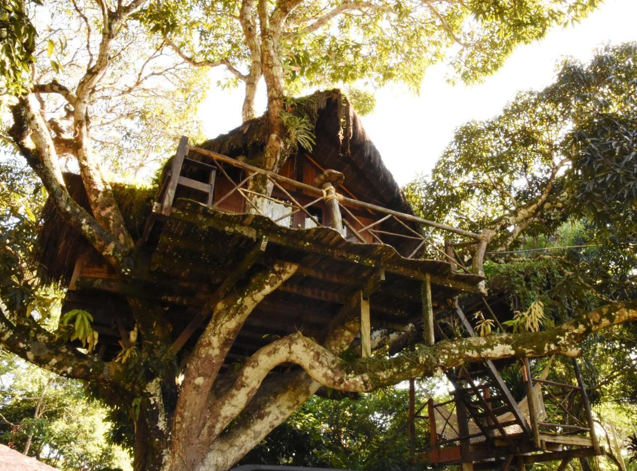 Art Jungle Hotel Itacaré Eksteriør billede
