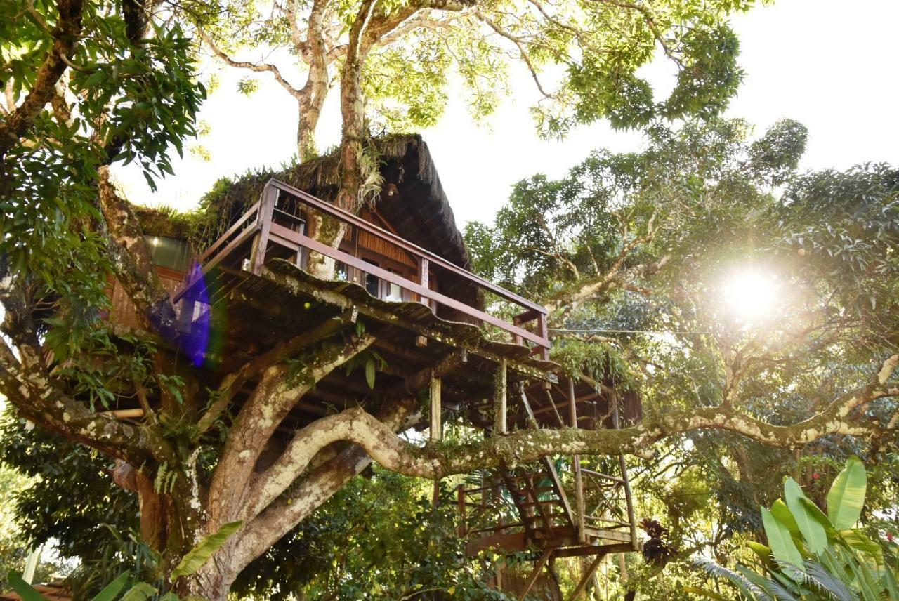 Art Jungle Hotel Itacaré Eksteriør billede